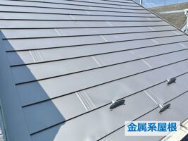 金属屋根はメンテナンスフリーと呼ばれていますが、全くメンテナンスをしなくてもいいわけではありません　アートペインズ