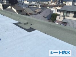 シート防水は、ビルなどの屋上に施工されていることが多いですが、築年数が高い住宅にも採用されています　アートペインズ